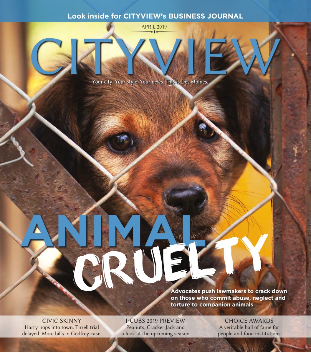 http://www.dmcityview.com/CityviewApril2019/files/pages/tablet/1.jpg